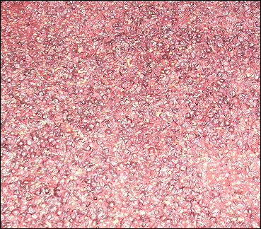 20120528-wine Crushed_Pinot_noir_grape_must.jpg